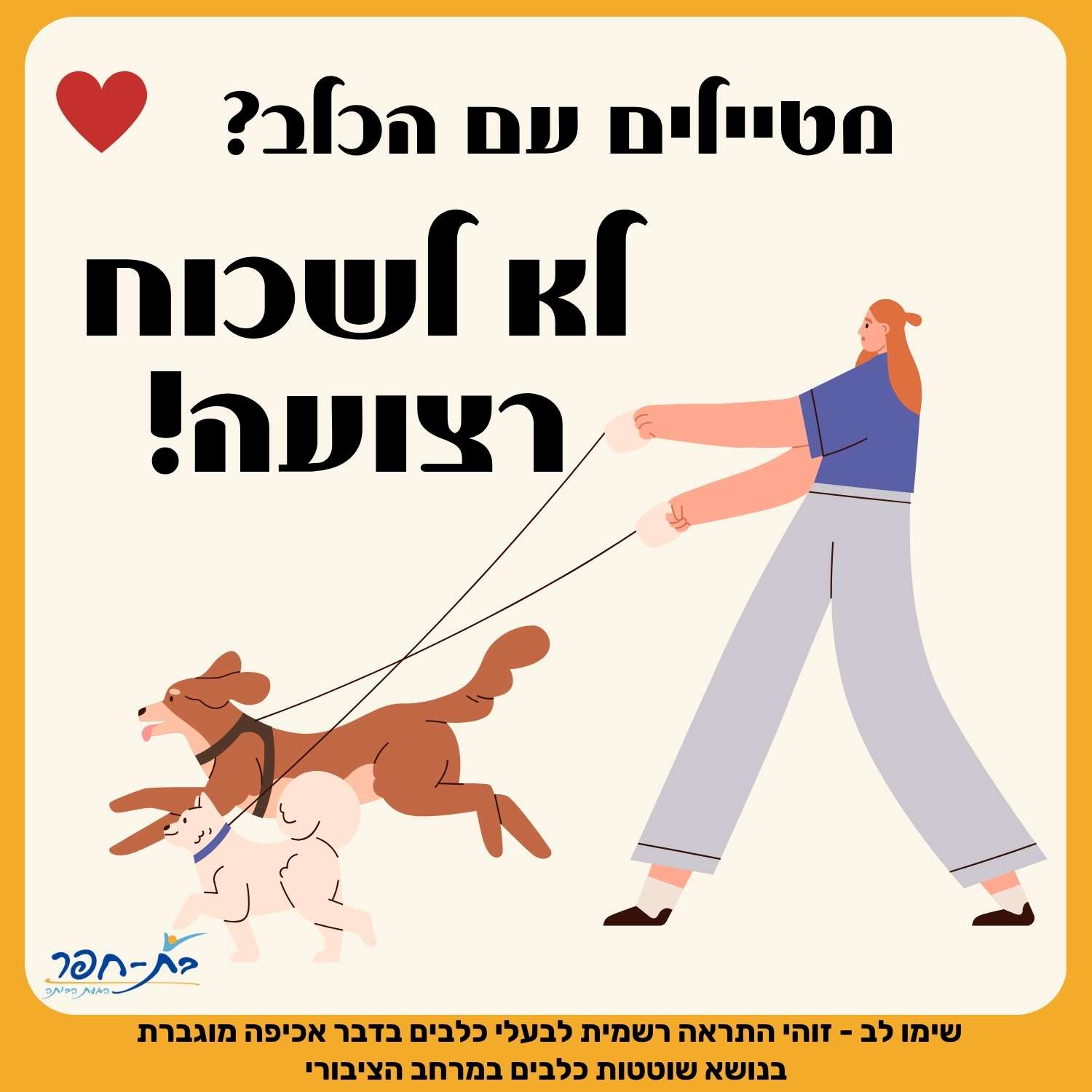 כלבים משוטטים - אכיפה פעילה